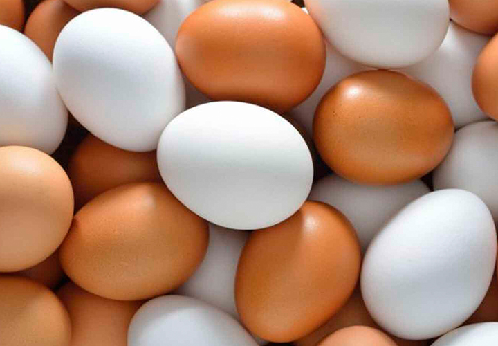 ¿Qué alimentos son fuente de la vitamina D?