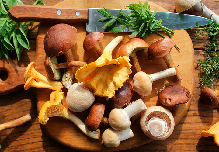 ¿Qué alimentos son fuente de la vitamina D?