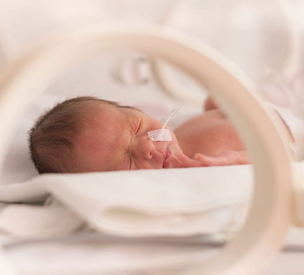 La vitamina D y su papel en la lesión cerebral hipóxico-isquémica neonatal.