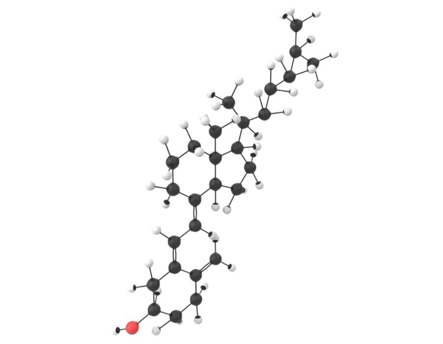¿Qué es la vitamina D?
