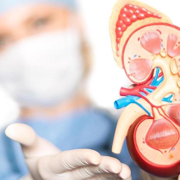 Vitamina D, receptor de la vitamina D e importancia de su activación en el paciente con enfermedad renal crónica.